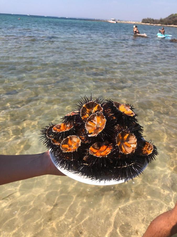 Salento Casa Vacanza Il Focolare Torchiarolo Zewnętrze zdjęcie